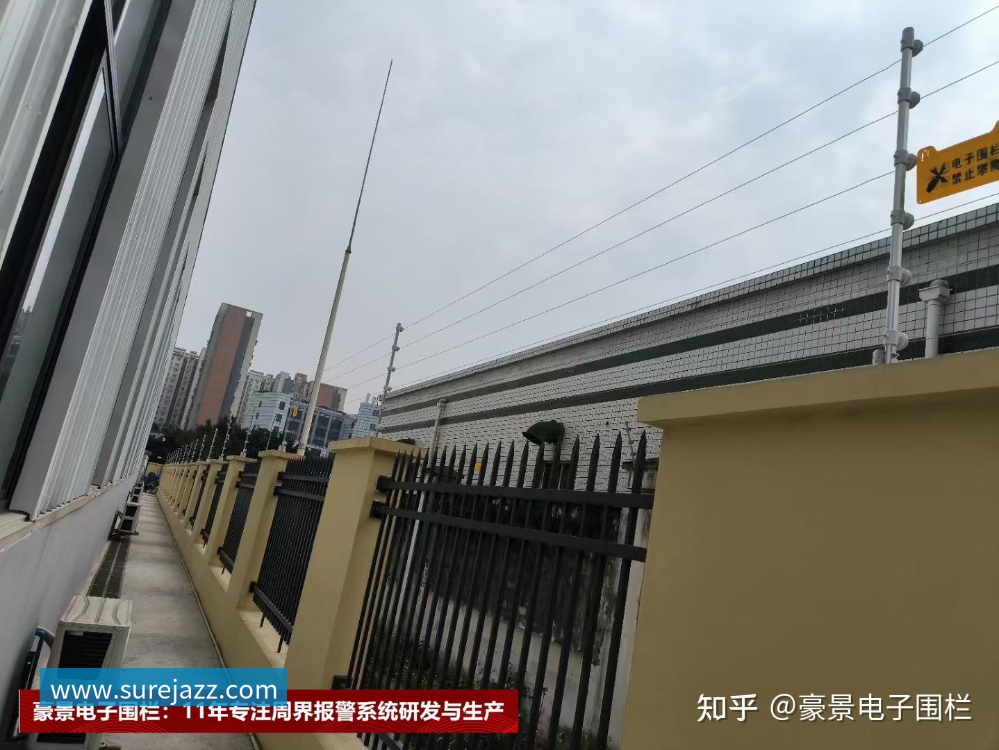 飞盘专题:深入解析上海飞盘队的战术与技术创新之路